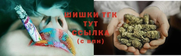 молекула духа Белоозёрский