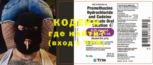 прущие грибы Кулебаки