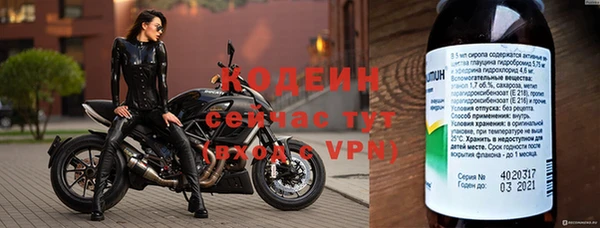 прущие грибы Кулебаки